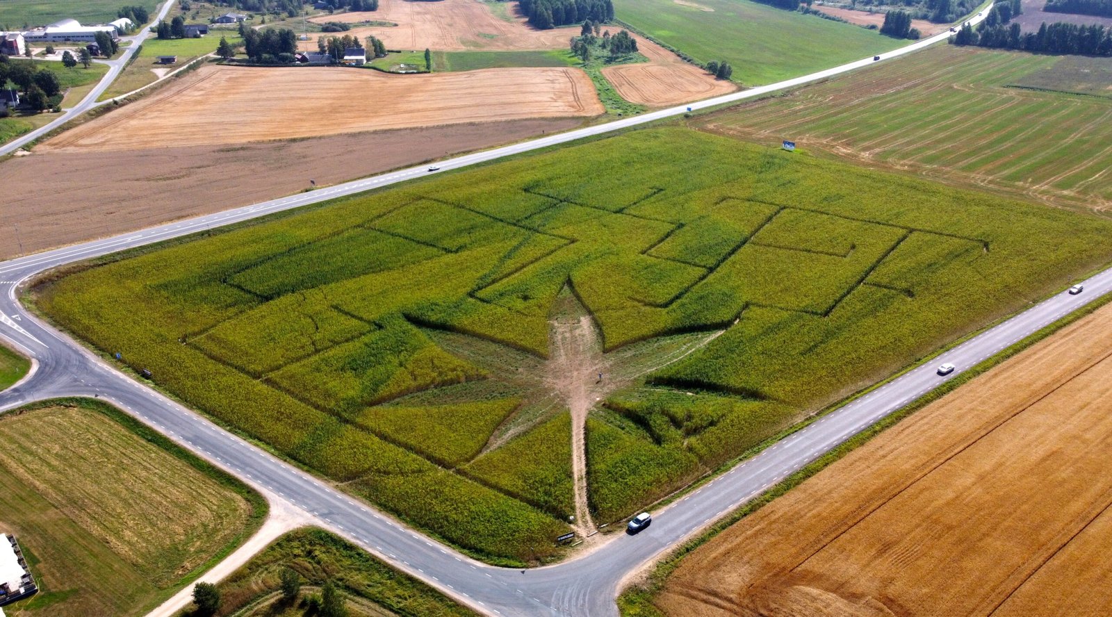 Aerial view of a labyrinth cut into a field Aerial view of a branching labyrinth path cut into a green field